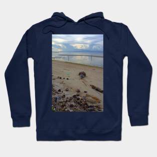 Coconut Shells on a Siquijor Beach at Sunset Hoodie